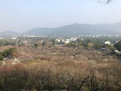 -太湖湖滨国家湿地公园-停车场