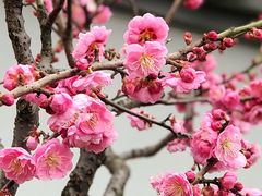 -贵阳市花溪国家城市湿地公园