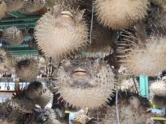 -八方海味餐厅