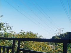 -巴倒烫陆派火锅山庄(南山总店)