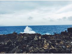 -龙坑生态保护区