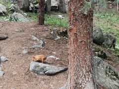 -新疆那拉提国家旅游度假区