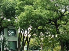 -浙江西子宾馆·瑶园咖啡厅