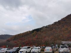 -龙道沟景区