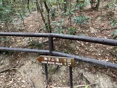 -狮子山郊野公园