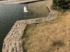 -行者书屋大堂吧 ·下午茶(南京圣和府邸酒店)