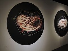 -成都许燎源现代设计艺术博物馆
