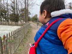 -前小桔亲子创意农场·草莓采摘·露营烧烤