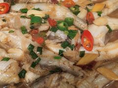 -舌尖上·霞浦滩涂海鲜·新闽菜(总店)