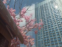 -首开·龙湖成都西宸天街