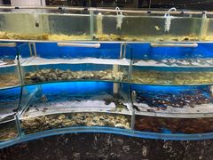 -四海蒸鲜蒸汽海鲜自助(北戴河店)
