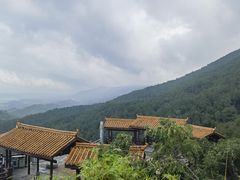 -铁山坪森林公园