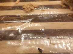 -BreadTalk面包新语(龙之梦购物中心莘庄店)