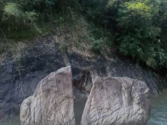 -广州白江湖森林公园