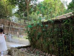 -洞背山庄(洞背院区式管理小区店)