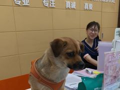 -美联众合爱康动物医院•复杂内科•肿瘤科•牙科•腔镜诊疗中心