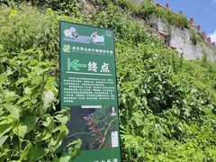 -句容茅山景区