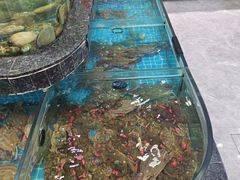 -渔码头食府(蓬莱阁店)