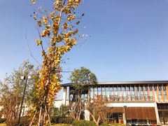 -思念果岭悦温泉