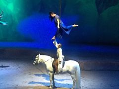 -cavalia·舞马