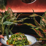 越泰料理|传统越泰风味‼️竟然还有花式鸡尾酒‼️