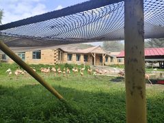 -哈尔滨北方森林动物园