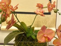 -茶叁酒肆·楚味江湖(菱角湖店)