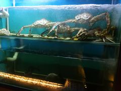 水产区-枫伝料理居酒屋