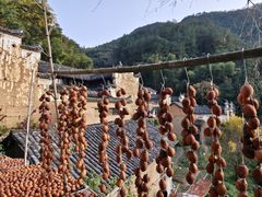 -杨家堂村