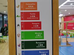 -澳洲袋鼠早教(金辉环球广场店)