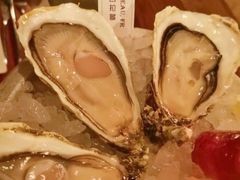 生蚝-斯普汇生蚝牛排馆(中骏世界城店)