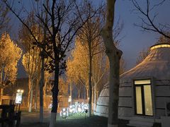 -九十九顶毡房(阜石路店)