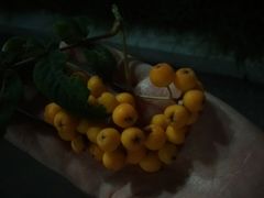 -川竹火锅(创业城店)