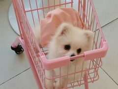 -怪兽屋·羊驼·猫咖·狗咖(俊华广场店)