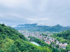 -芦茨金富饭庄·25年老字号·专做稻草鸡