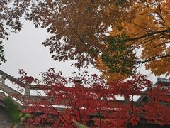 -穹窿山景区
