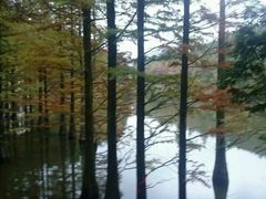 -四明山国家森林公园