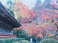 -醍醐寺