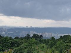 -铁山坪森林公园