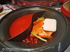 -生活如沸·顺德水牛奶火锅(大学路店)