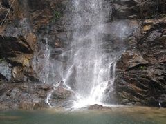 -九龙江国家森林公园