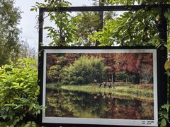 -黄海国家森林公园