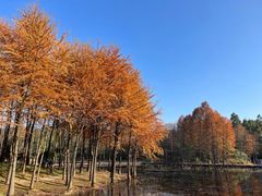 -长广溪湿地公园