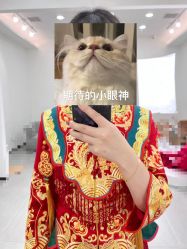 -桃子造型婚纱礼服(凤起广场店)