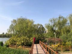 -燕郊植物园