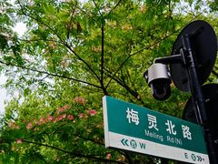 -茅家埠