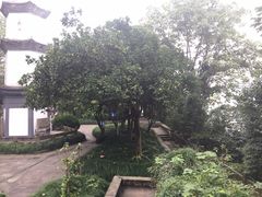 -桐君山春江扬帆码头