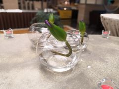 -天目湖御水温泉·度假酒店