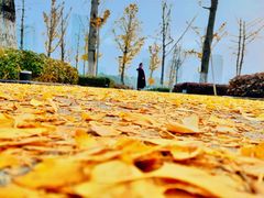 -两江幸福广场