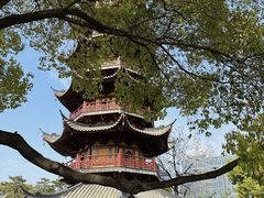 -龙华寺
